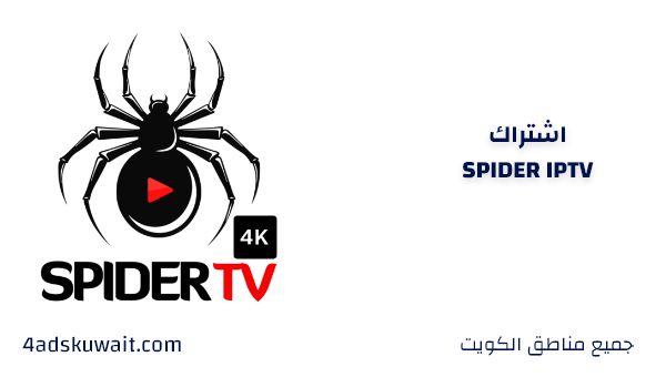 اشتراك spider tv iptv افضل اشتراك بدون تقطيع يتميز بل الجودة والثبات بل القنوات